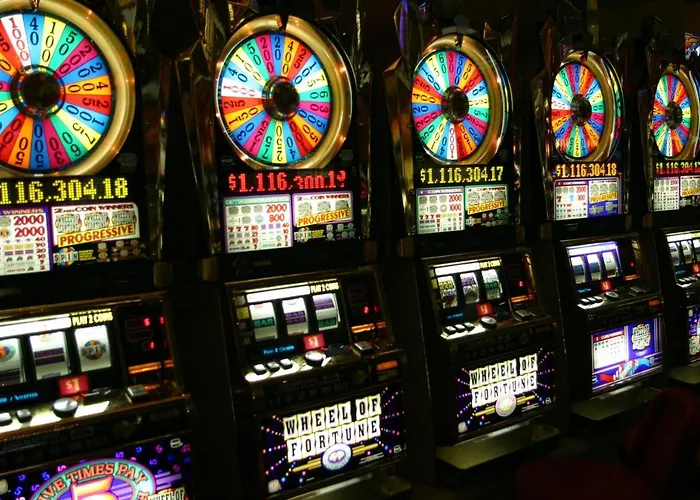 Garden Luxury Litoralmar Appartement